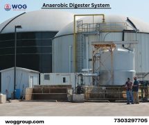 Anaerobic Digester System Process For Bacteria Break | Wog Group