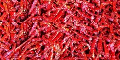 Omvishkar Exports