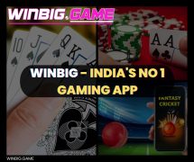 Play Fantasy Cricket League