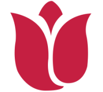 Cakes and Flowers For Every Occasion