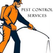 UDAIPUR PEST CONTROL SERVICES