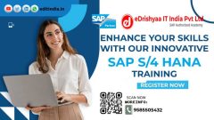 eDrishyaa IT India Pvt. ltd. SAP Academy
