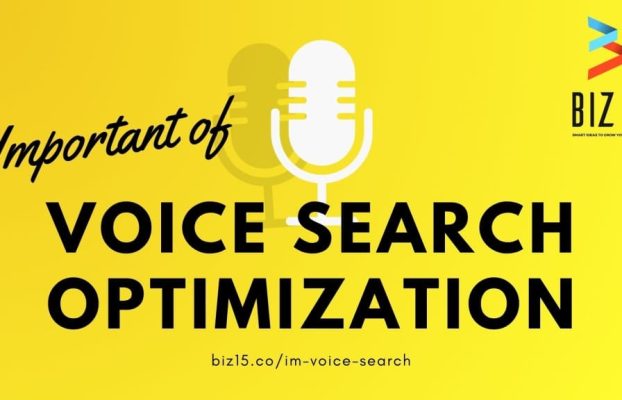 Why Voice Search Optimization is Important?