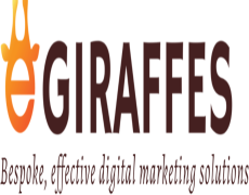 E Giraffes Digital Pvt. Ltd.: Elevating Your Digital Presence with Innovation and Excellence