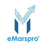 Best eBay Account Management Services In USA | eMarspro