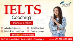 Study Visa consultants near Chandigarh
