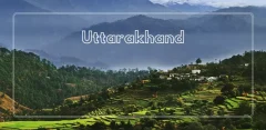 Divy Destination - Trusted Taxi Services | Tour & Travel in Uttarakhand