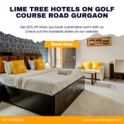 hotels on golf course road gurgaon | Lime Tree Hotel