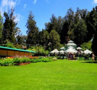 Top 12 Ooty Honeymoon Packages - 2024 (220+ Reviews)