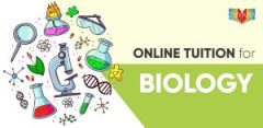 Online Biology Home Classes: Helping Students Tackle Tough Concepts