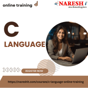 Top C Lsnguage Online Traning Institute Hyderabad - NareshIT