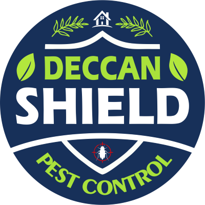 deccan shield 1 3