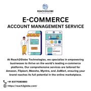 Transform your online business with expert solutions from Reach2Globe!