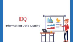 Informatica Data Quality Online Classes In India - VISWA Online Trainings