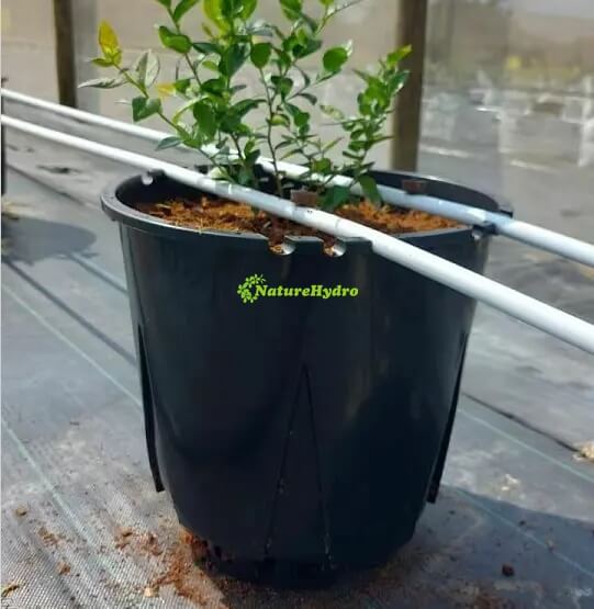 round pot