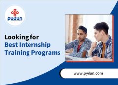 Looking for Best Internship Training Programs | Pydun Technology Private Limited