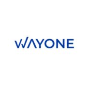 WayOne IT Solutions