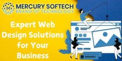 Mercury Softech