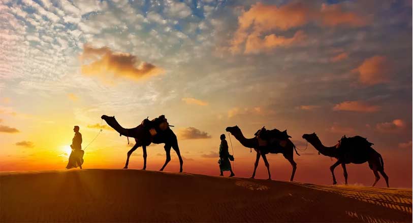 7 days rajasthan tour