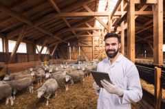 Best Feed Provider in India – Enpro Feeds: A Pioneer in Livestock Nutrition
