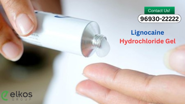 lignocaine hydrochloride gel 1 1