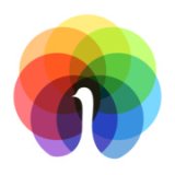 peafowl it solution