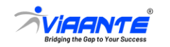 Viaante Business Solutions