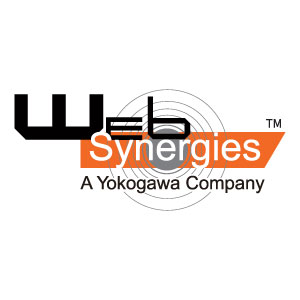 websynergies new