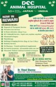 Best Veterinary Hospital in Rewari - DCC Animal Hospital