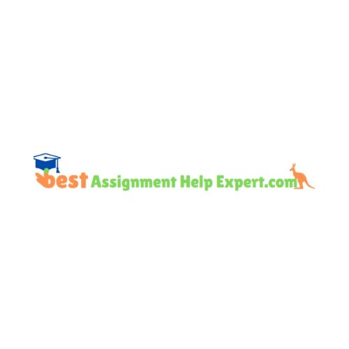 best assignment help expert logo