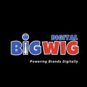 Best Digital Marketing Company in Delhi | BigWig Digital