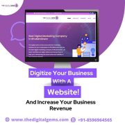 Best Digital Marketing Company in Bhubaneswar, Odisha - The Digital Gems