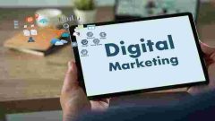 SEO Services Company in Mira Road | Top SEO Consultant | treflikmedia