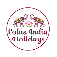 lotus india holidays copy