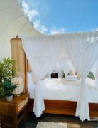 Mountain View Staycation Munnar | Luxury Glamping in Munnar | LuxeGlamp