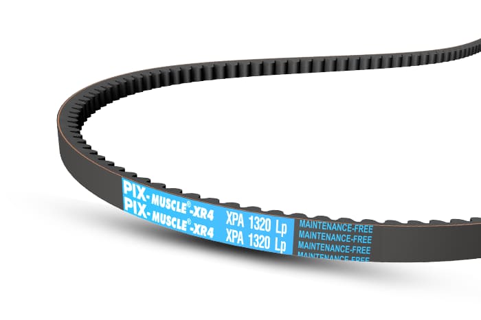 muscle20xr420belts