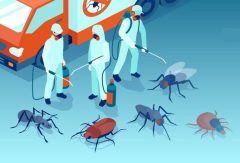 Sornavalli Pest Control Services in Chennai