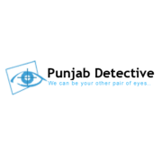 Detective in Amritsar | Punjab Detective