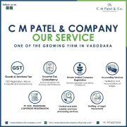 C M Patel & Company, Chartered Accountant