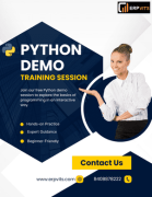Python Demo Training