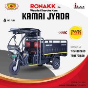 battery rickshaw loading wala | Ronakk Auto