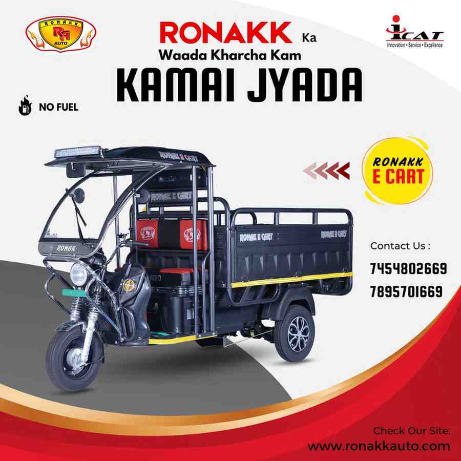 batteryrickshawloadingwal 2