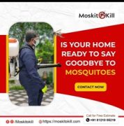 Best Outdoor Mosquito Treatment for a Mosquito-Free Environment