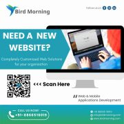 Next-Gen AI-Powered Business Solution Company USA, India | Birdmorning Solutions