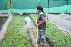 Empowering women is a Social Responsibility - Mor Selv