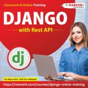 Best Django Online Training - NareshIT