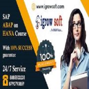 SAP ABAP on HANA | SAP S4 HANA Online  Training in Ameerpet | Igrowsoft