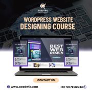 Digital Marketing Courses in Bhubaneswar, Odisha - Aced Wiz