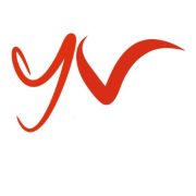 YV Digital Marketing Institute and Agency for Training Growth