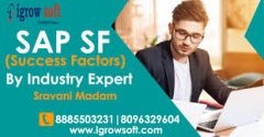 SAP Success Factors Online training institute Hyderabad | Igrowsoft